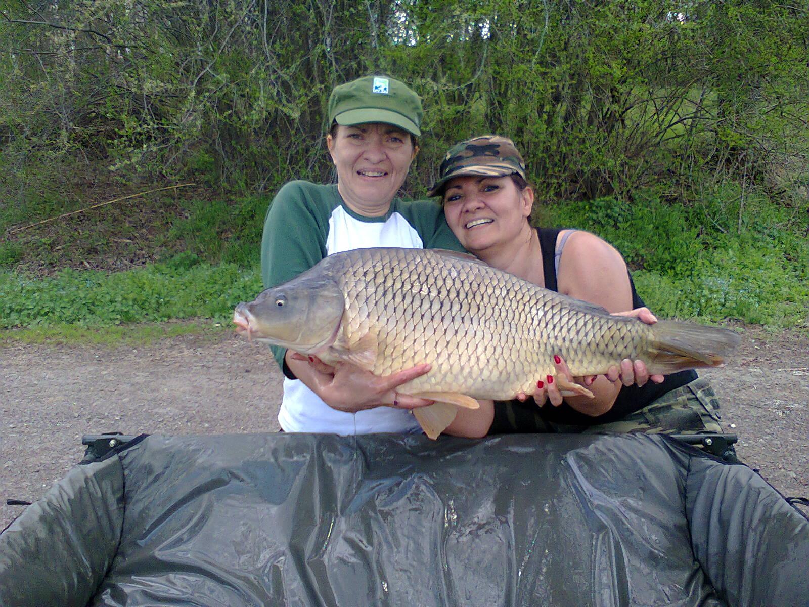 Tancabesti - fotografie0031.jpg